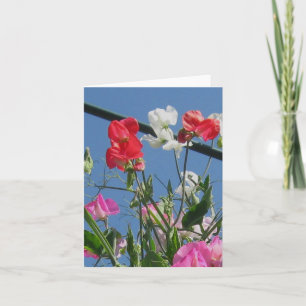 Sweetpeas noterar kortet kort