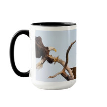 SWFEC får den nära handlingen (tillgängliga olika