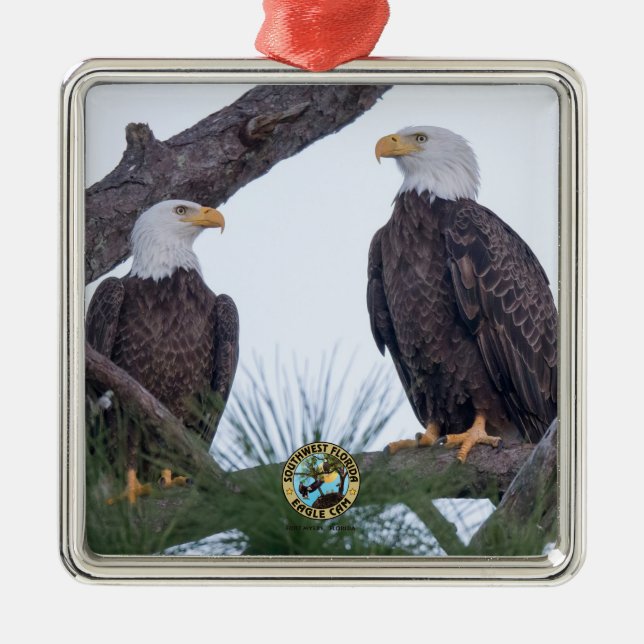 SWFL Eagle Cam Couple Goals Ornament (Framsidan)