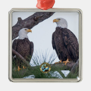 SWFL Eagle Cam Couple Goals Ornamet Julgransprydnad Metall