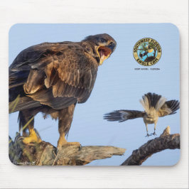 SWFL Eagle Cam Mouse Pad- E22 & Friend Musmatta