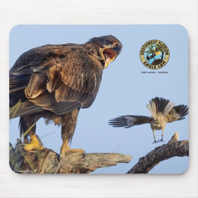 SWFL Eagle Cam Mouse Pad- E22 & Friend Musmatta (Framsidan)