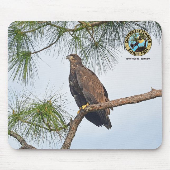 SWFL Eagle Cam Mouse Pad- E23 Musmatta (Framsidan)
