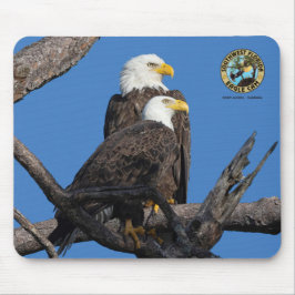 SWFL Eagle Cam Mouse Pad-M15 & F23 Musmatta