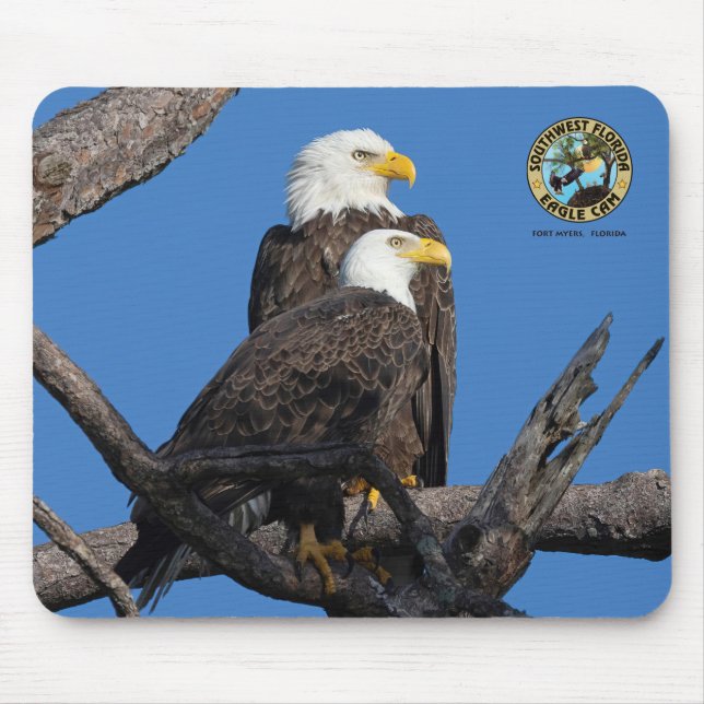 SWFL Eagle Cam Mouse Pad-M15 & F23 Musmatta (Framsidan)