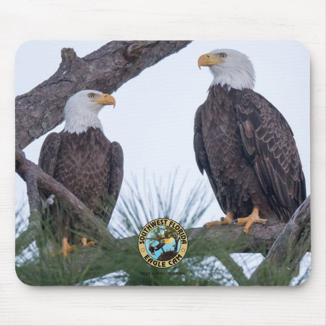 SWFL Eagle Cam Mouse Pad Musmatta (Framsidan)