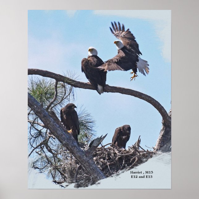 SWFL Family Porträtt E12, E13 Harriet och M15 Poster (Framsidan)