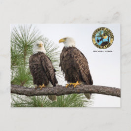 SWFLEagleCam-vykort Vykort