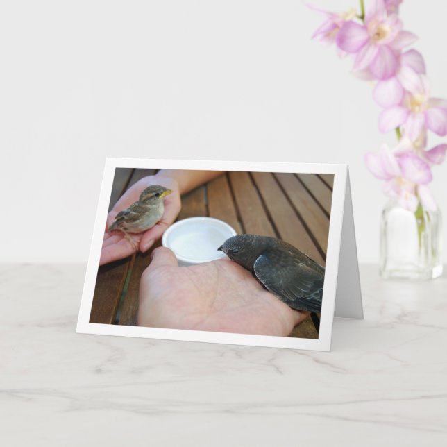 Swift Bird och Sparrow Bird på händerna Kort (Orkide)