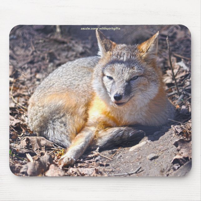 Swift Fox Resting in Sunshine Wildlife Mousepad Musmatta (Framsidan)