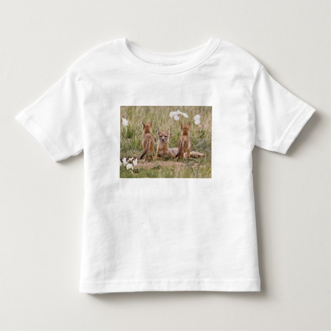 Swift Fox (Vulpes velox) hona med ung på T-shirt (Framsida)