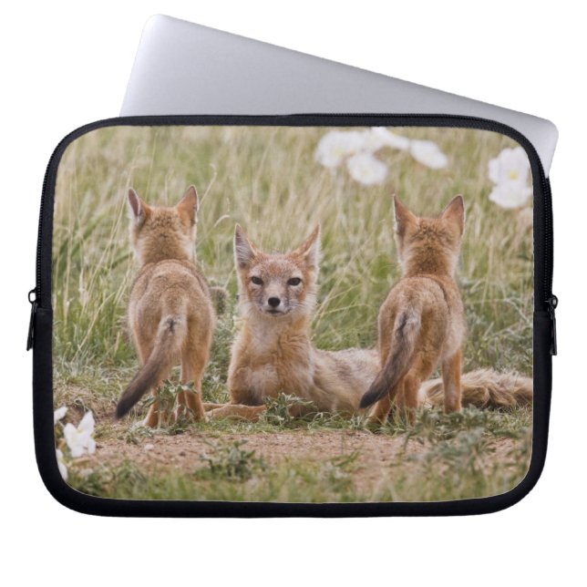 Swift räv (Vulpes velox) hona med ungar vid Laptop Fodral (Framsidan)
