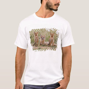 Swift räv (Vulpes velox) hona med ungar vid T Shirt