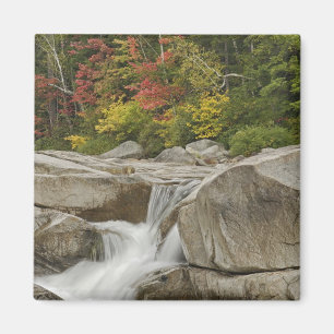 Swift River forsande genom stenar, Vit Magnet