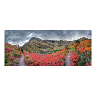 Swiftcurrent Pass Trail - Glacier National Park Fototryck