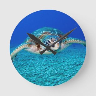 Swiming Sea Turtle Rund Klocka