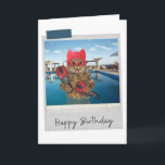 Swimmer Cat Funny Birthday Card Kort<br><div class="desc">Öka alla kattälskares födelsedag med den här kattdjuret för viskhet och roligt!</div>
