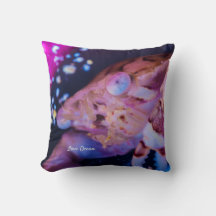 Swimmer Crab (Lissocarcinus laevis Miers, 1886)