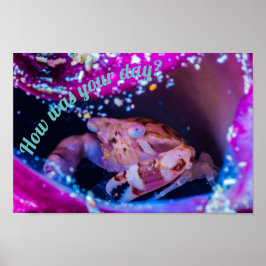 Swimmer Crab (Lissocarcinus laevis Miers, 1886) Poster