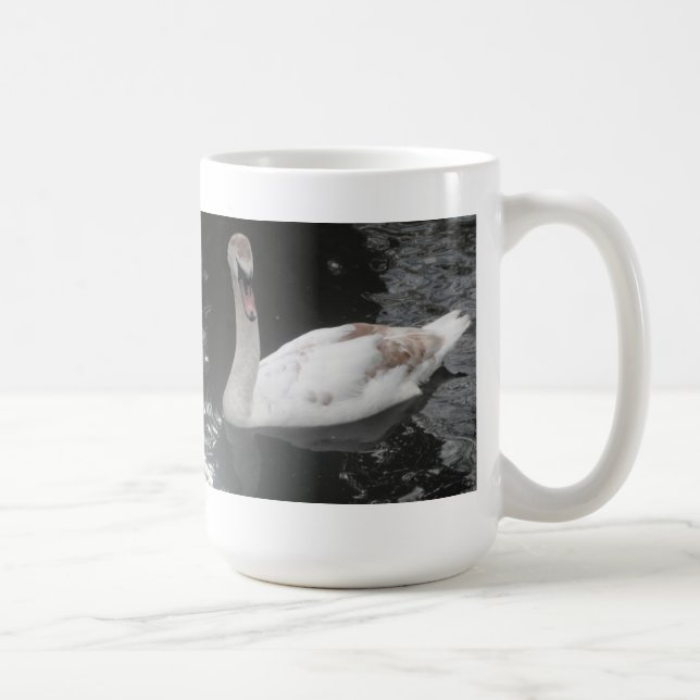 Swimming av mugg Baby Svan (Höger)