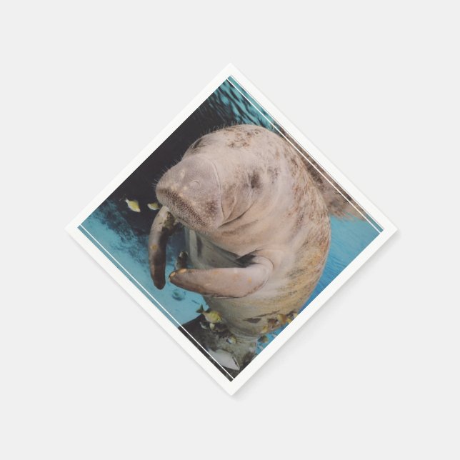 Swimming av sjökummel pappersservett (Hörn)