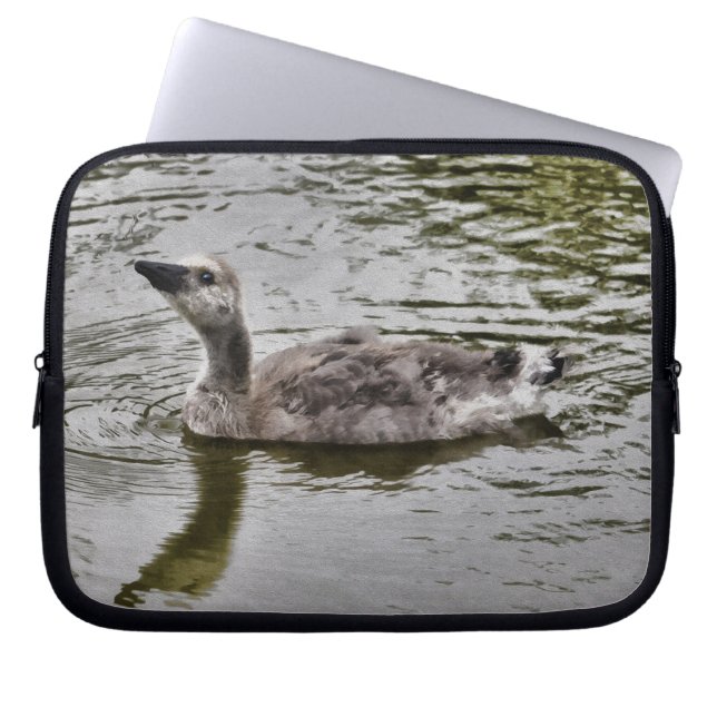 Swimming Canada Gosling Wildlife Art Scene Laptop Fodral (Framsidan)