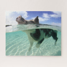 Swimming från lycklig med "Fishing Jigszle Puzzle"