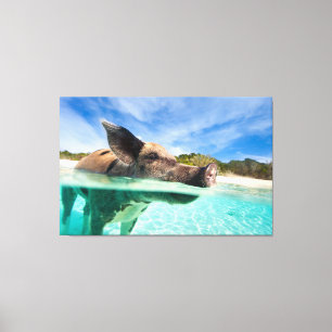 Swimming gris av Exuma Canvastryck