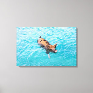 Swimming gris av Exuma Canvastryck