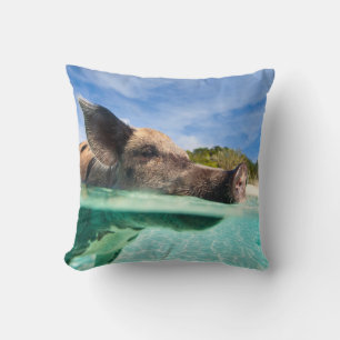 Swimming gris av Exuma Kudde
