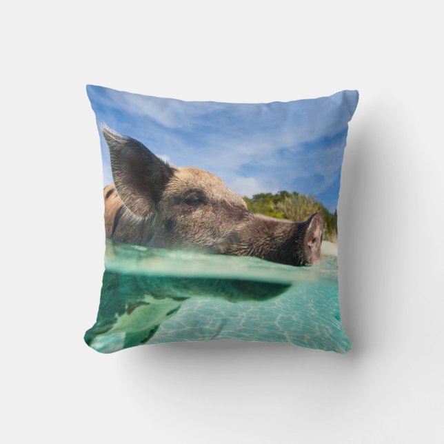 Swimming gris av Exuma Kudde (Framsida)