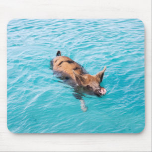 Swimming gris av Exuma Musmatta