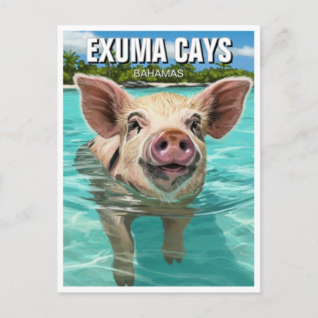 Swimming Gris Exuma Cays Bahamas Travel Vykort (Framsida)