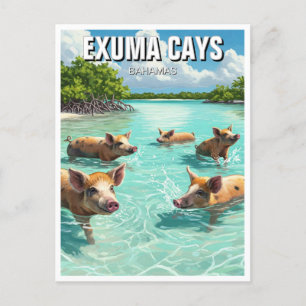 Swimming Grisar Exuma Cays Bahamas Travel Vykort