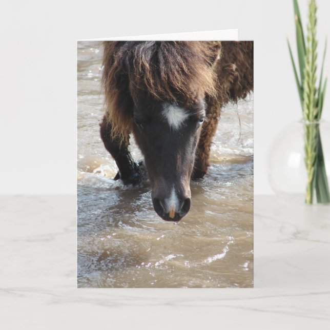Swimming Horse Birthday Kort (Framsida)