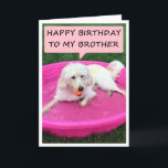 SWIMMING HUND BROTHER/BEST FRIEND BIRTHDAY KORT<br><div class="desc">DEN HÄR SVÄLJAREN I KÄRLEK ÄR HENNES "BRODER" OCH SÄGER ATT HAN ÄR HANS "BÄSTA VÄN" PÅ SIN BIRTHDAY!</div>
