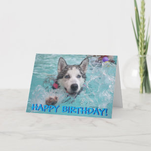 Swimming husky-fotofödelsedagskort kort
