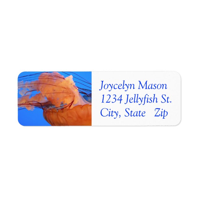 Swimming Jellyfish Returetiketters Returadress Etikett (Framsidan)
