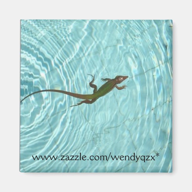Swimming Lizard Magnet (Framsidan)