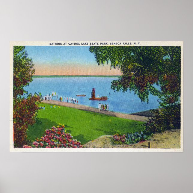 Swimming Scene i statliga parken Cayuga Sjö Poster (Framsidan)