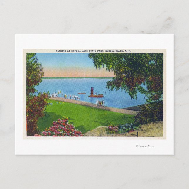 Swimming Scene i statliga parken Cayuga Sjö Vykort (Framsida)