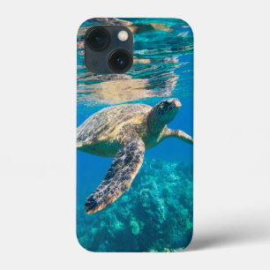 Swimming Sea Turtle