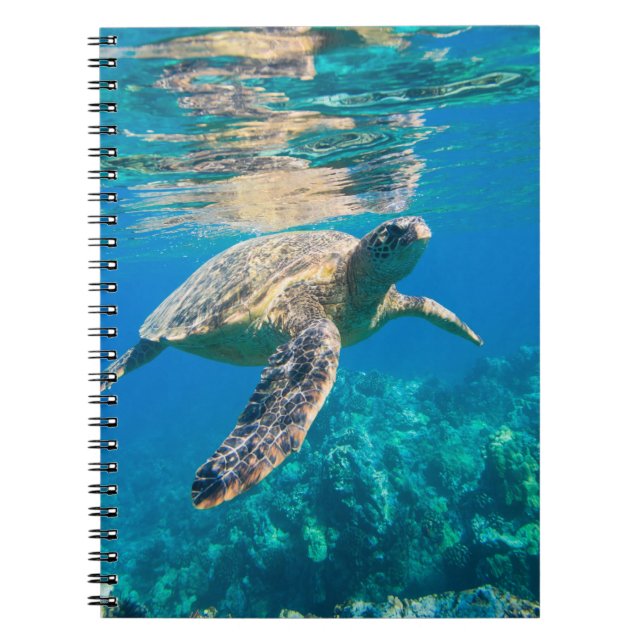 Swimming Sea Turtle Anteckningsbok (Framsidan)