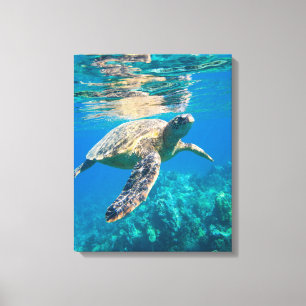 Swimming Sea Turtle Canvastryck