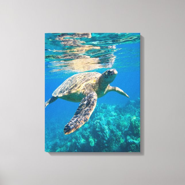 Swimming Sea Turtle Canvastryck (Framsida)