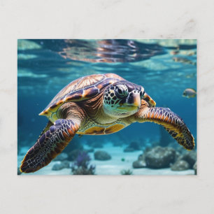 Swimming Sea Turtle i Ocean Vykort