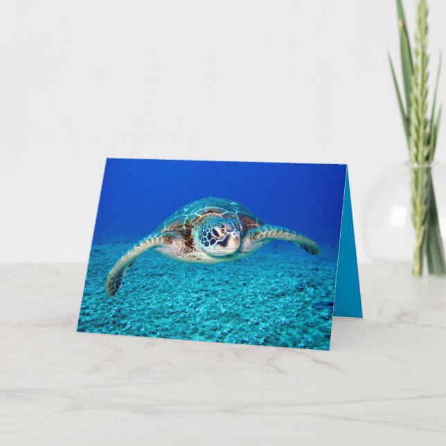 Swimming Sea Turtle Kort (Framsida)