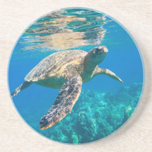 Swimming Sea Turtle Underlägg