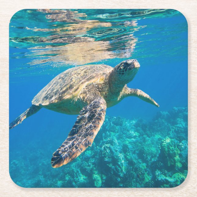 Swimming Sea Turtle Underlägg Papper Kvadrat (Framsidan)