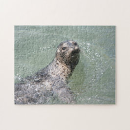 Swimming Seal Pussel